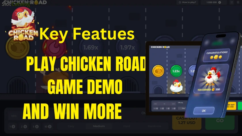 Key Features of Chicken Road Game 